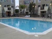 Sherri Stith - main photo