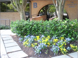 Photo of 10015 Old Columbia Rd - Suite B215, Columbia, MD 21046