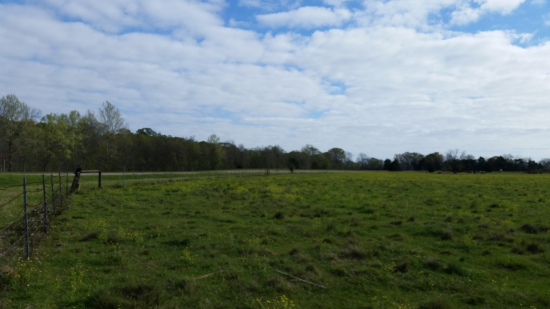 Photo of 998 LA-103, Washington, LA 70589