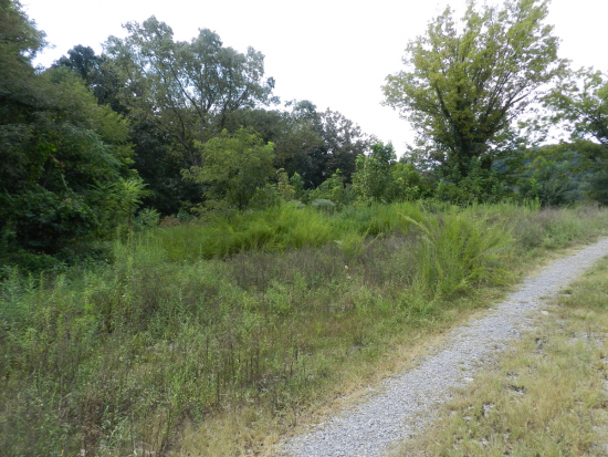 Photo of 109 Meadow View Rd - 5,10, Bristol, TN 37620