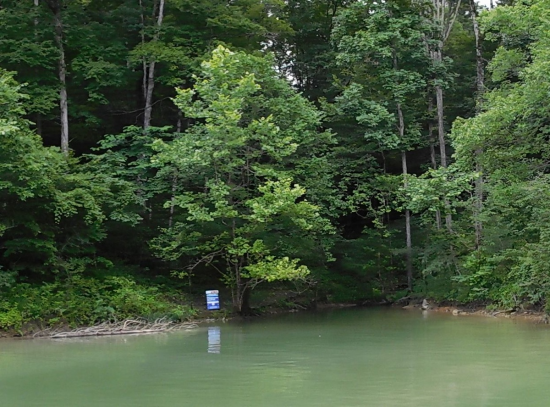Photo of 350 Cypress Lane, Bee Spring, KY 42207