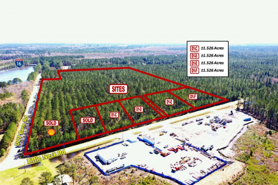 Photo of Little Neck Road & I-16, Bloomingdale, GA 31302